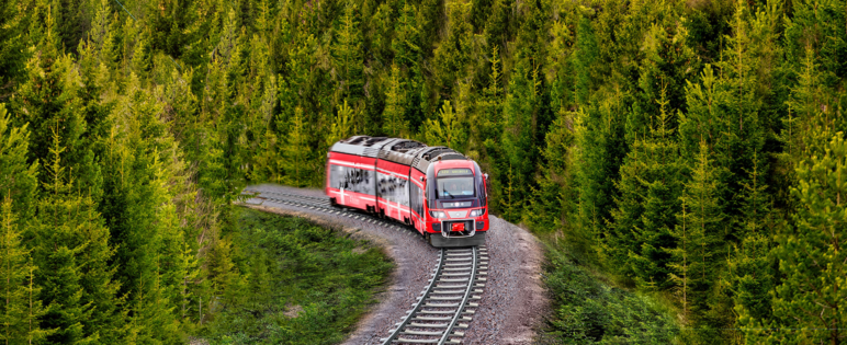 Tåg på räls i skogen